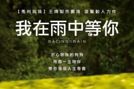 愛情喜劇電影《我在雨中等你》電影解說文案
