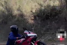 如何弄圖片短視頻教程_手機視頻剪切軟件哪個最好用