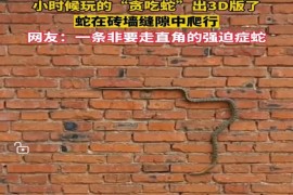 蛇屏幕短視頻教程_曾經(jīng)一鳴驚人紅的發(fā)紫