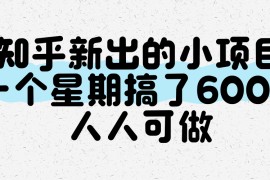 知乎新出的小項(xiàng)目，一個(gè)星期搞了600+，人人可做