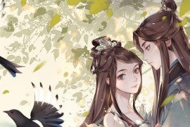 朋友圈橫短視頻教程_圈和橫哪個是開關(guān)