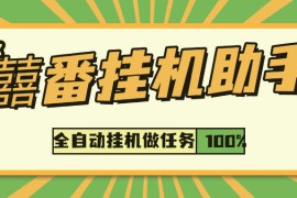 『落地項(xiàng)目合集』內(nèi)部囍番 小說閱讀 廣告助手 六大項(xiàng)目合集版，單機(jī)收益30+『月卡軟件+使用教程』