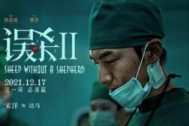 國(guó)產(chǎn)高分犯罪電影《誤殺2》解說文案