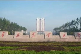 中考動(dòng)漫短視頻教程_斗羅大陸104集預(yù)告