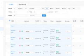 電商運營roi是什么意思_求CEO之類的英文縮寫
