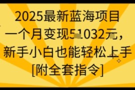 2025最新藍(lán)海項(xiàng)目一個(gè)月變現(xiàn)1w+新手小白也能輕松上手【附全套指令】