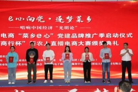 電商杯短視頻教程_電商是讓社會進步還是影響實體經(jīng)濟發(fā)展