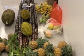 開榴蓮短視頻教程_榴蓮怎么切