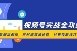 視頻號實(shí)戰(zhàn)全攻略，爆款腳本創(chuàng)作，自然流直播運(yùn)營，付費(fèi)投放技巧