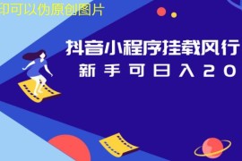抖音小程序掛載風行視頻全套教程，輕松賺錢日入200+