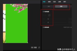 小白學(xué)短視頻教程_如何成為一個優(yōu)質(zhì)的視頻創(chuàng)作者
