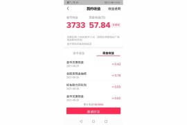 拍抖音賺錢軟件有哪些_翻譯?寫文章?剪視頻也都可以