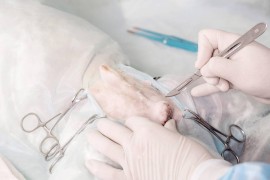 切睪丸短視頻教程大全_你們在新兵連發(fā)生過哪些搞笑的糗事