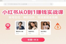 小紅書從0到1賺錢實戰(zhàn)課：賬號定位、 爆款創(chuàng)作 、導流變現(xiàn)全攻略