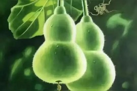 快手抖音賺錢(qián)方法是什么意思_支付寶里怎么刷視頻賺錢(qián)