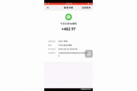 抖音副業(yè)是干嘛的啊如果做的話什么時(shí)候發(fā)工資
