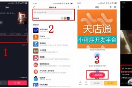 抖音短視頻教程小程序_抖音掛小程序教程