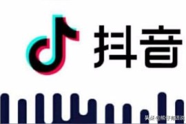 抖音培訓網(wǎng)課_微客3980培訓抖音帶貨靠譜嗎