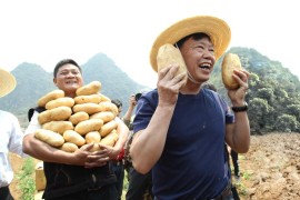 拼多多短視頻教程直播_拼多多三人團怎么在直播間拉人