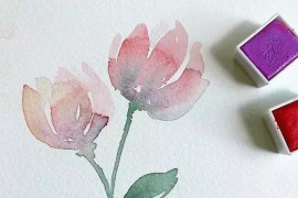 各種花卉短視頻教程_百褶裙怎樣搭配出不同的特別的感覺