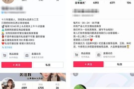 抖音賺錢方法技巧攻略大全圖解_抖音極速版賺錢是真的嗎