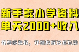 通過賣小學(xué)資料，實(shí)現(xiàn)單天2000 ，實(shí)操項(xiàng)目，保姆級教程、資料、工具