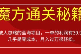 被人忽略的藍(lán)海項(xiàng)目進(jìn)階版，魔方通關(guān)秘籍，零成本月入過萬(wàn)很輕松【揭秘】