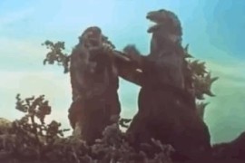 剪王者短視頻教程_為什么有人說做美發(fā)越來越難了