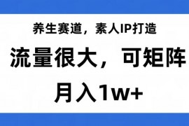 養(yǎng)生賽道IP打造，流量巨大，教你月入1W+【完整揭秘】