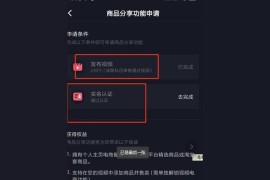 抖音賺錢的方式有哪些2020年_網(wǎng)上有很多美女經(jīng)常旅游拍抖音