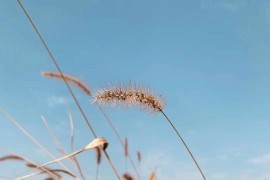 拍釣魚短視頻教程_想做釣魚戶外直播拍視頻