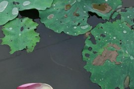 怎樣隱藏抖音號(hào)不被別人搜_關(guān)注了一個(gè)人抖音能看他的私密嗎
