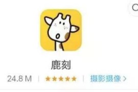 內(nèi)容創(chuàng)業(yè)拍短視頻教程_在農(nóng)村老家可以干什么創(chuàng)業(yè)