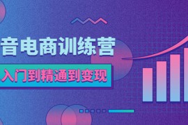 抖音電商訓(xùn)練營(yíng)：從入門到精通，從賬號(hào)定位到流量變現(xiàn)，抖店運(yùn)營(yíng)實(shí)操