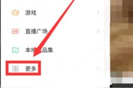 購物英文版短視頻教程綠色購物的好處英語作文