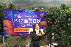 銷售房子的短視頻教程_如何在抖音上賣自己的書