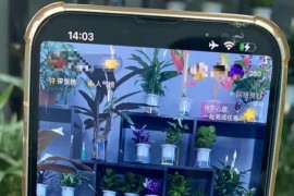 抖音如何賺錢_為什么看抖音能賺錢