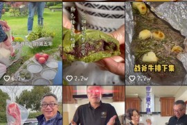 生活類短視頻教程_能做點(diǎn)什么小生意