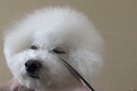 美容類短視頻教程_開美容院怎么樣