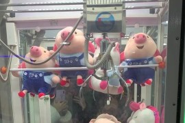 怎么做寵物短視頻教程_短視頻選題怎么找