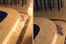 拍建筑短視頻教程_如何拍好城市風(fēng)光