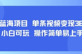 8月AI藍海項目，單條視頻變現(xiàn)1k+ 小白可玩 操作簡單易上手