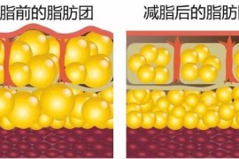 局部減脂短視頻教程_想減肥有哪些推薦的輕食餐