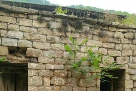 馬悠悠短視頻教程_天地莊周馬全詩解釋
