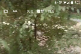 抖音基本功能使用教程_抖音音樂作品功能怎么打開