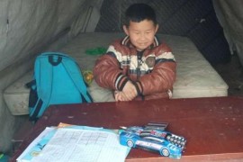 信號(hào)差的短視頻教程_為什么現(xiàn)在都換了電信光纖50兆了