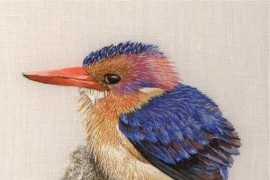 解說(shuō)短視頻教程案例_尸體會(huì)發(fā)生什么變化