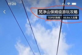 抖音作品0瀏覽量什么原因_抖音作品沒瀏覽量怎么辦