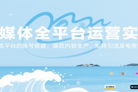 自媒體全平臺運營實戰(zhàn)，主流平臺的賬號搭建、爆款內(nèi)容生產(chǎn)、矩陣引流及電商變現(xiàn)