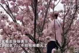 拍抖音跳舞短視頻教程_寶寶拍抖音跳舞說說